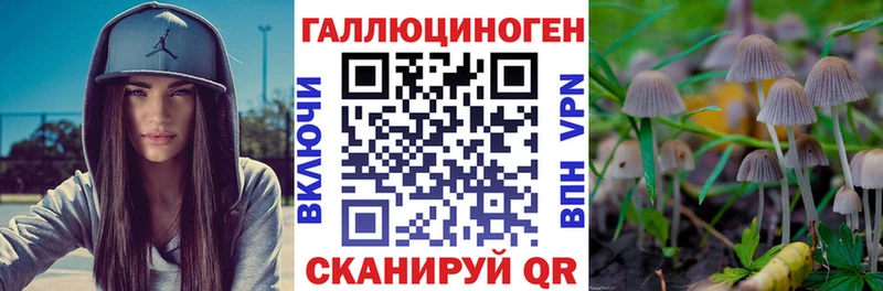 закладка  Бирск  Псилоцибиновые грибы Magic Shrooms 