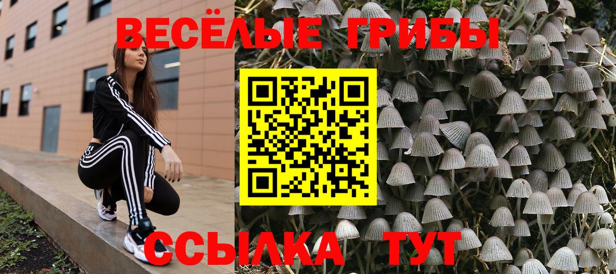 Галлюциногенные грибы Psilocybine cubensis  Вход с VPN  Бирск 